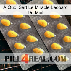 À Quoi Sert Le Miracle Léopard Du Miel cialis2